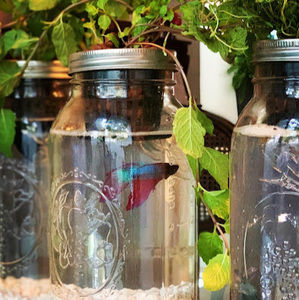 Meet your Posher, Sonia